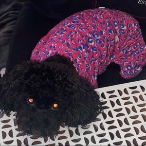 6 Dog Outfits in sizes Small